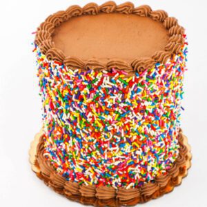 Celebrate in style with this rich chocolate cake. Smooth chocolate frosting and a generous sprinkle of vibrant colors make it perfect for any special occasion.
