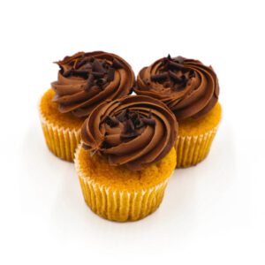 Vanilla cupcakes topped with chocolate frosting and rainbow sprinkles